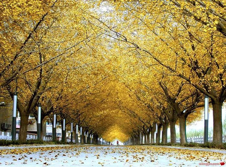 秋季祝福短信美满生活